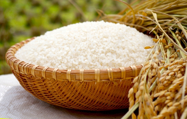 竹田産の美味しいお米 | 大分県竹田市ふるさと納税特設サイト