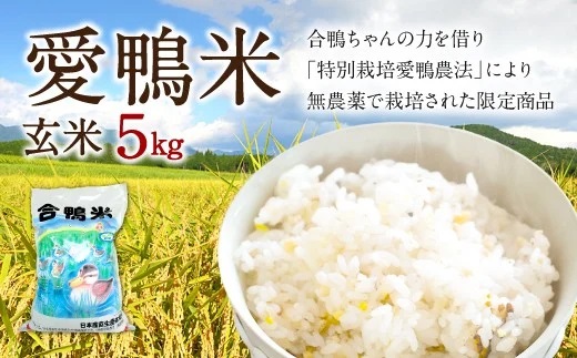 愛鴨米 玄米 コシヒカリ 5kg