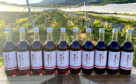 久住ワイナリー ワイン屋さんの 葡萄ジュース 10本セット 計7.1L