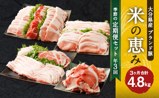【3回定期便】大分県産ブランド豚「米の恵み」季節の定期便セット 計4.8kg