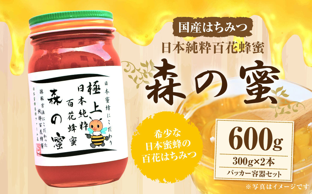 【国産はちみつ】 日本純粋百花蜂蜜 「森の蜜」 300g×2本 計600g ・パッカー容器