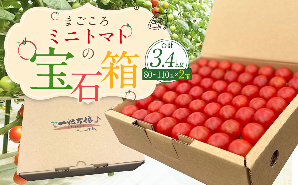 まごころミニトマトの宝石箱 1.7kg(約80～110玉)×2箱 計3.4kg サンチェリーピュア