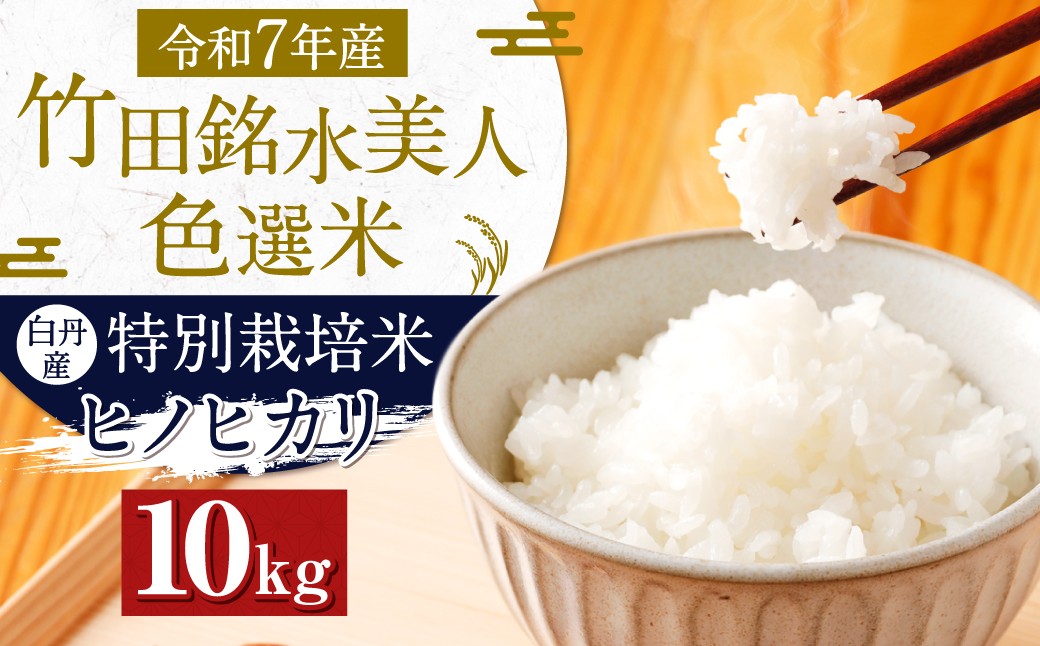 【返礼品一例】竹田銘水美人色選米 10kg 【白丹産:特別栽培米ヒノヒカリ】5kg×2袋